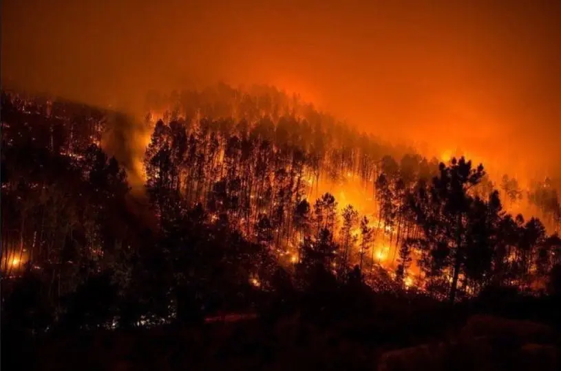 stopincendios
