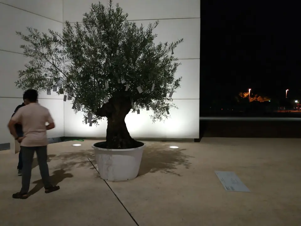 Yoko Ono: &Aacute;rbol de deseos para la paz