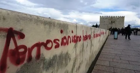 Puente Romano de C&oacute;rdoba pintado - Fuente Diario C&oacute;rdoba, Ana Romero. 28/10/2018.