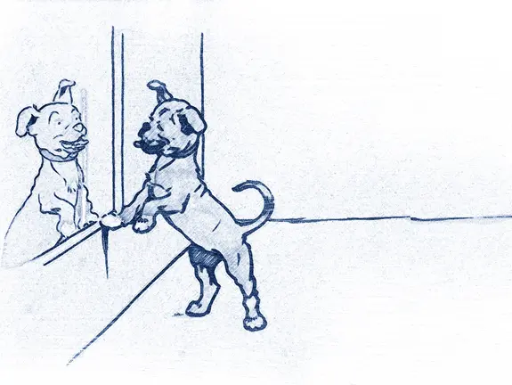 Con qu&eacute; sue&ntilde;an los perros