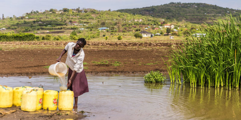 Subdesarrollo en África: falta de acceso a agua potable