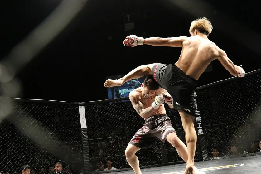 mixed-martial-arts-1420209_960_720