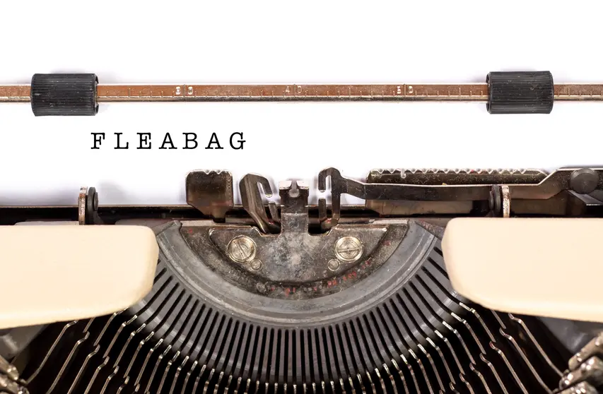 Maquina de escribir con la palabra Fleabag escrita