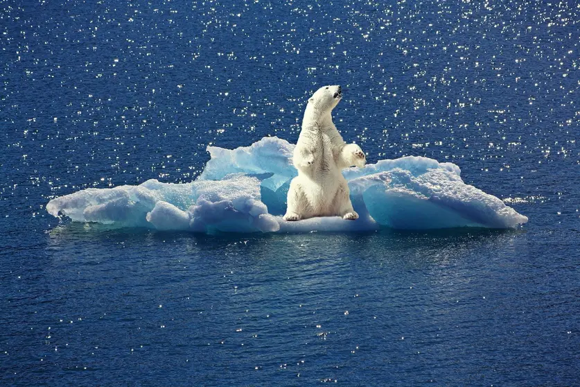 La Cumbre busca materializar esfuerzos en la lucha contra el cambio climático.