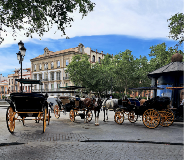 Coches de caballos esperando en Puerta de Jerez