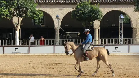 Joven jinete en la primera jornada de Cabalcor/ Maria R