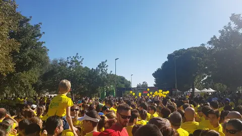 26243823749_29b5d64f3f_b
