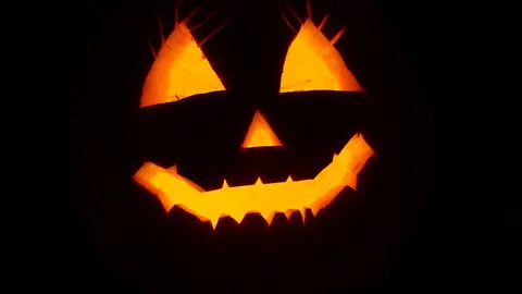 pumpkin-2892303_1920