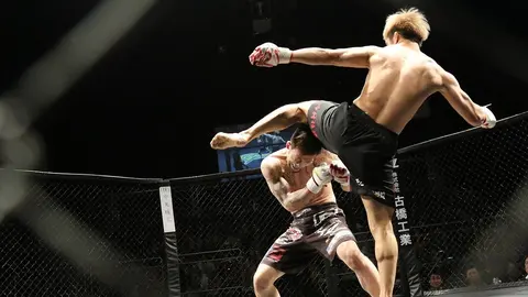 mixed-martial-arts-1420209_960_720