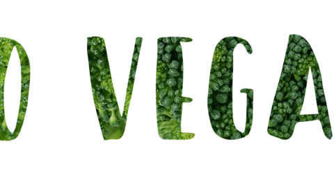 vegan-1433237_1920