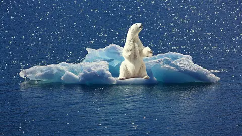 La Cumbre busca materializar esfuerzos en la lucha contra el cambio clim&aacute;tico.