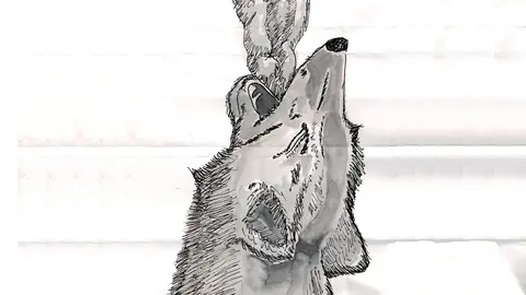 Dibujo lobo aullando