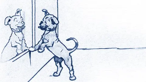 Con qu&eacute; sue&ntilde;an los perros