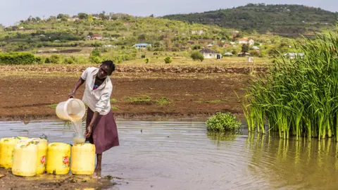 Subdesarrollo en &Aacute;frica: falta de acceso a agua potable