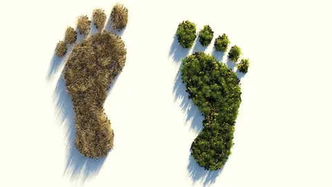 Consejos-para-reducir-la-huella-ecol&oacute;gica