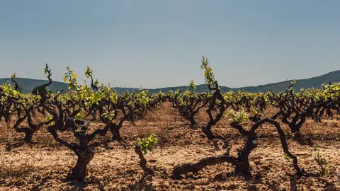 pexels-juan-pablo-serrano-arenas-1047333