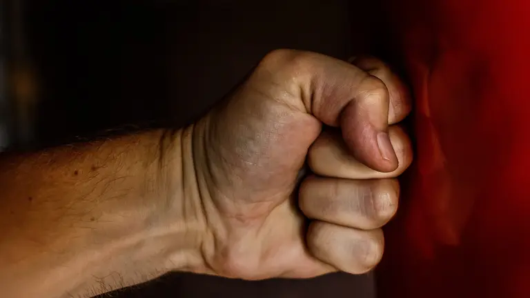 Foto de Pixabay de Pexels: https://www.pexels.com/es-es/foto/puno-humano-163431/