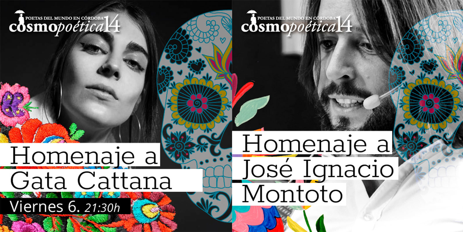 gata-cattana-nacho-montoto