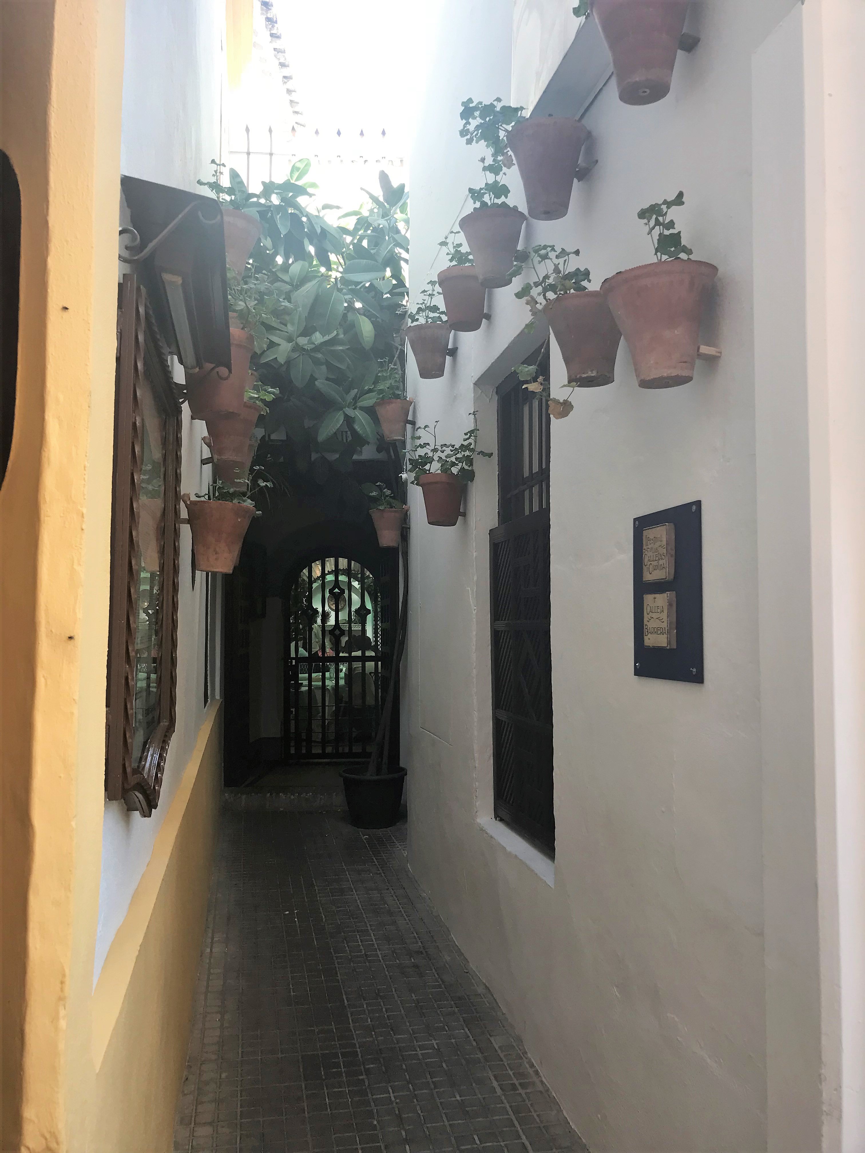 image_67171073