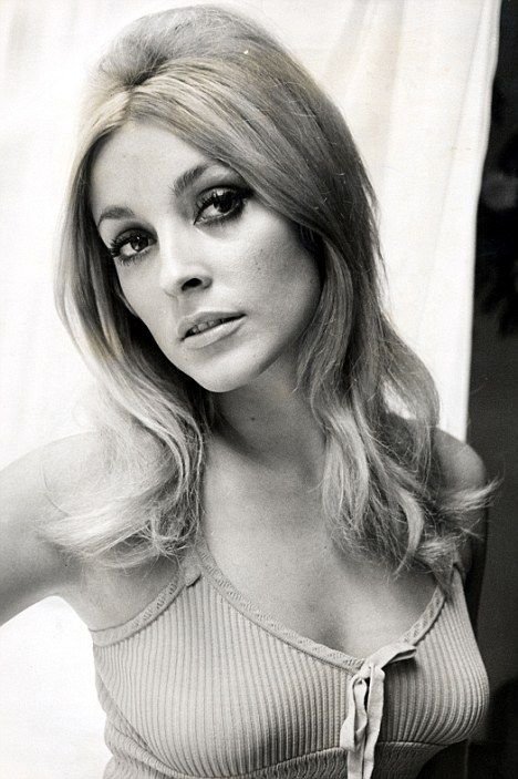 e844d35c87f11833a186126990ea86ce--s-hair-sharon-tate