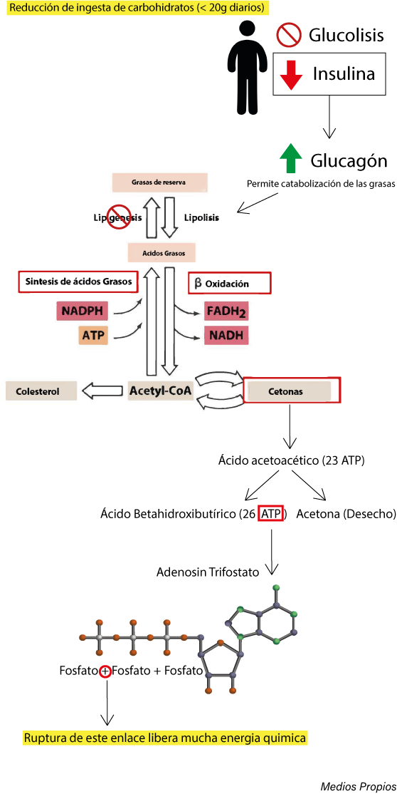 esquemui