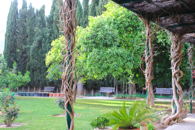 Jardines de la parroquia. Fotografía: Almudena Dujat
