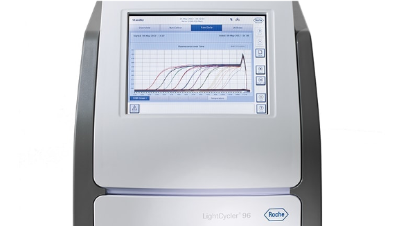 Roche
