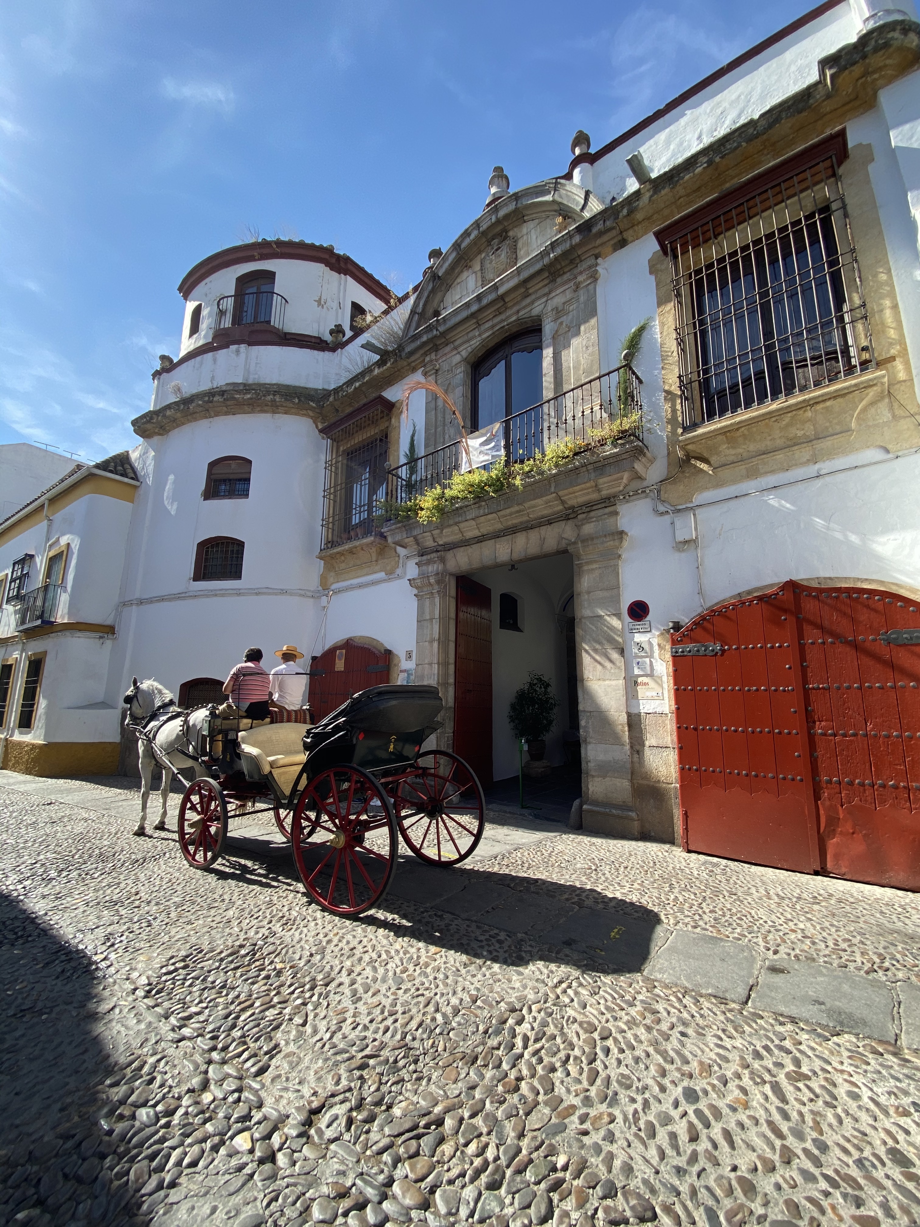 Palacio de los Trillo Figueroa, Córdoba