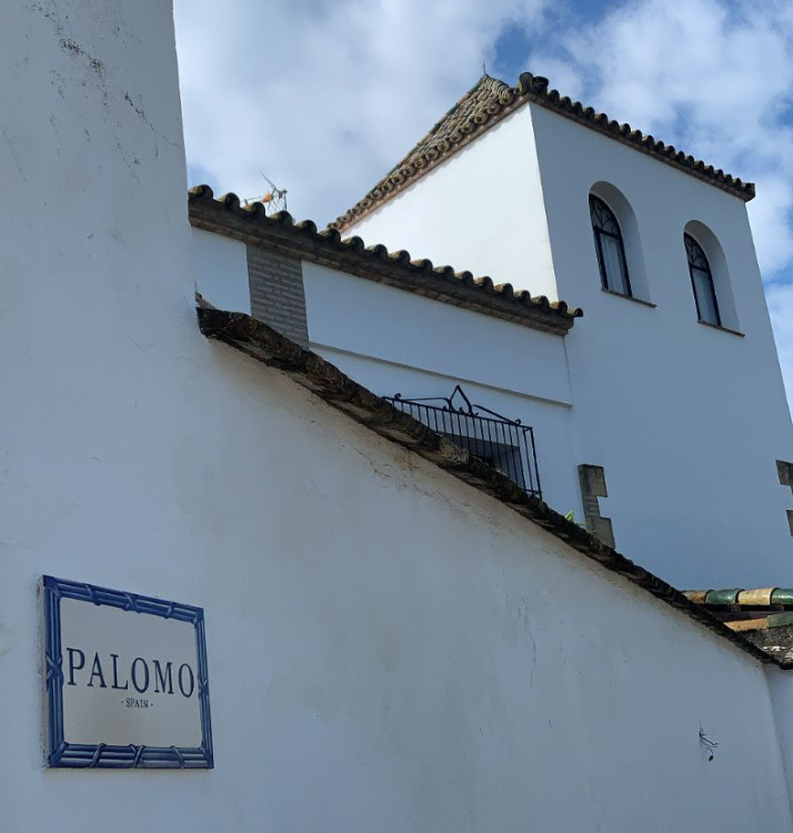 Palomo Spain calle - copia
