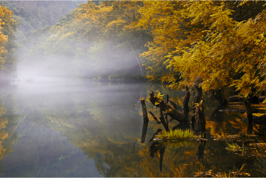 Galicia