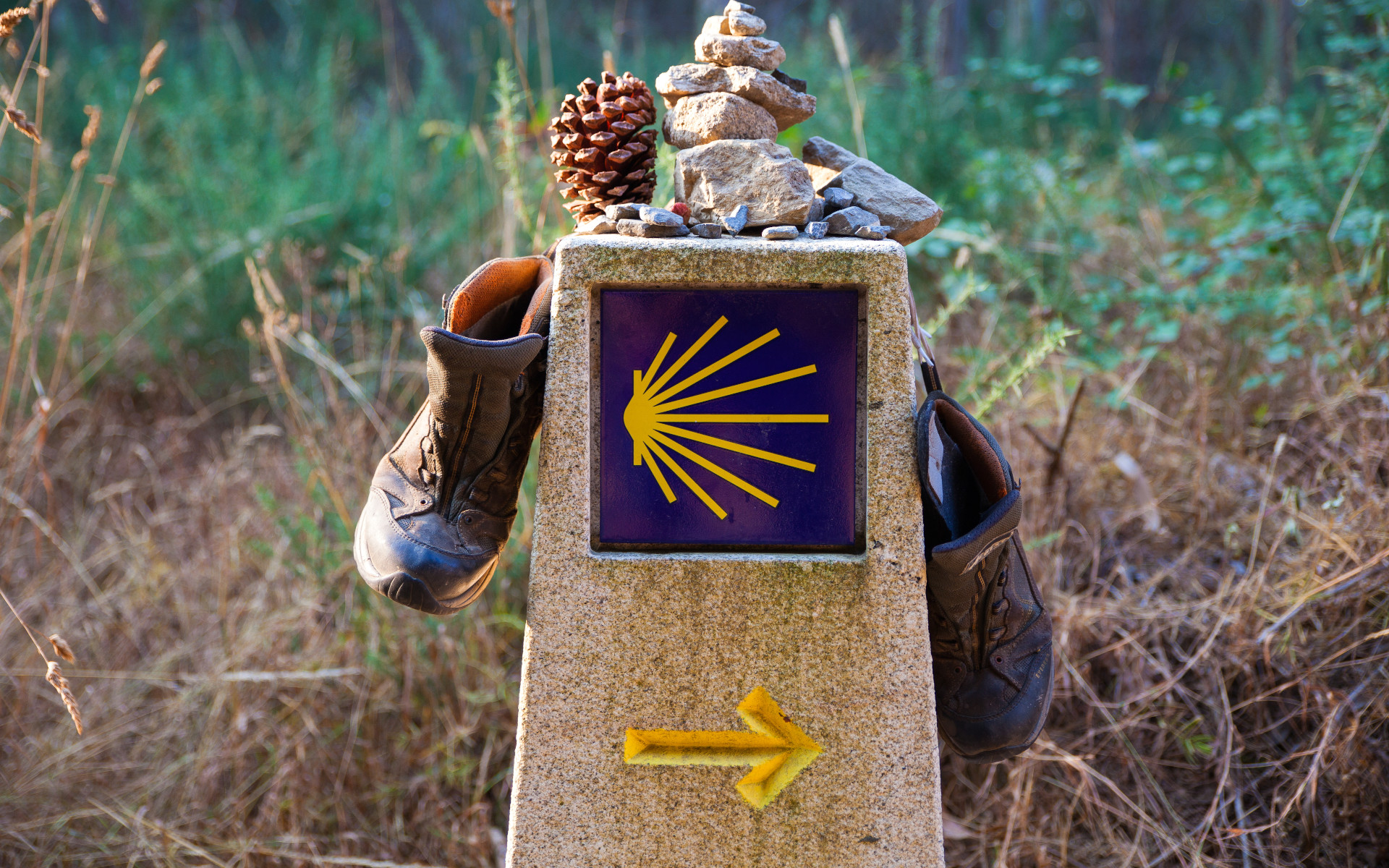 senal-camino-santiago