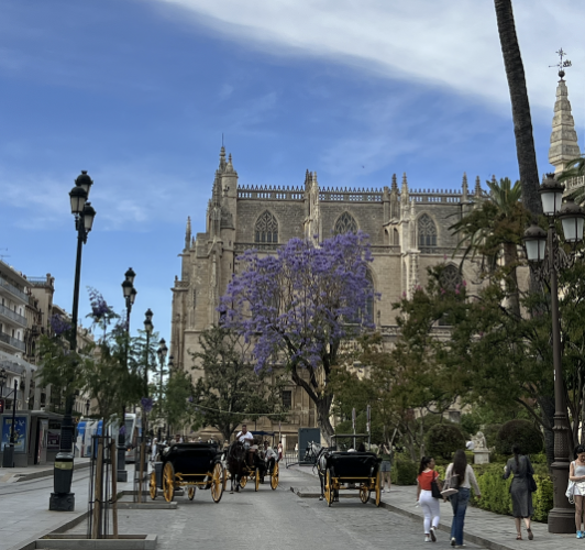 Parada de coches de caballos en Avenida de la Constitución.