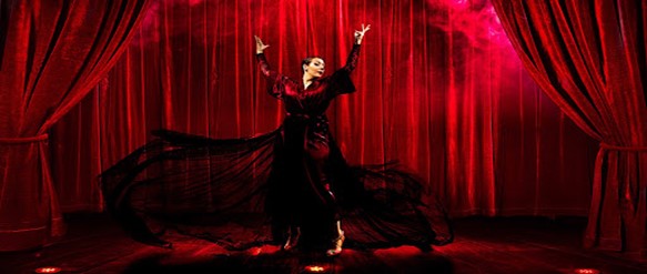 Espectáculo “La cosa esta que Trini”. Foto_Web Oficial